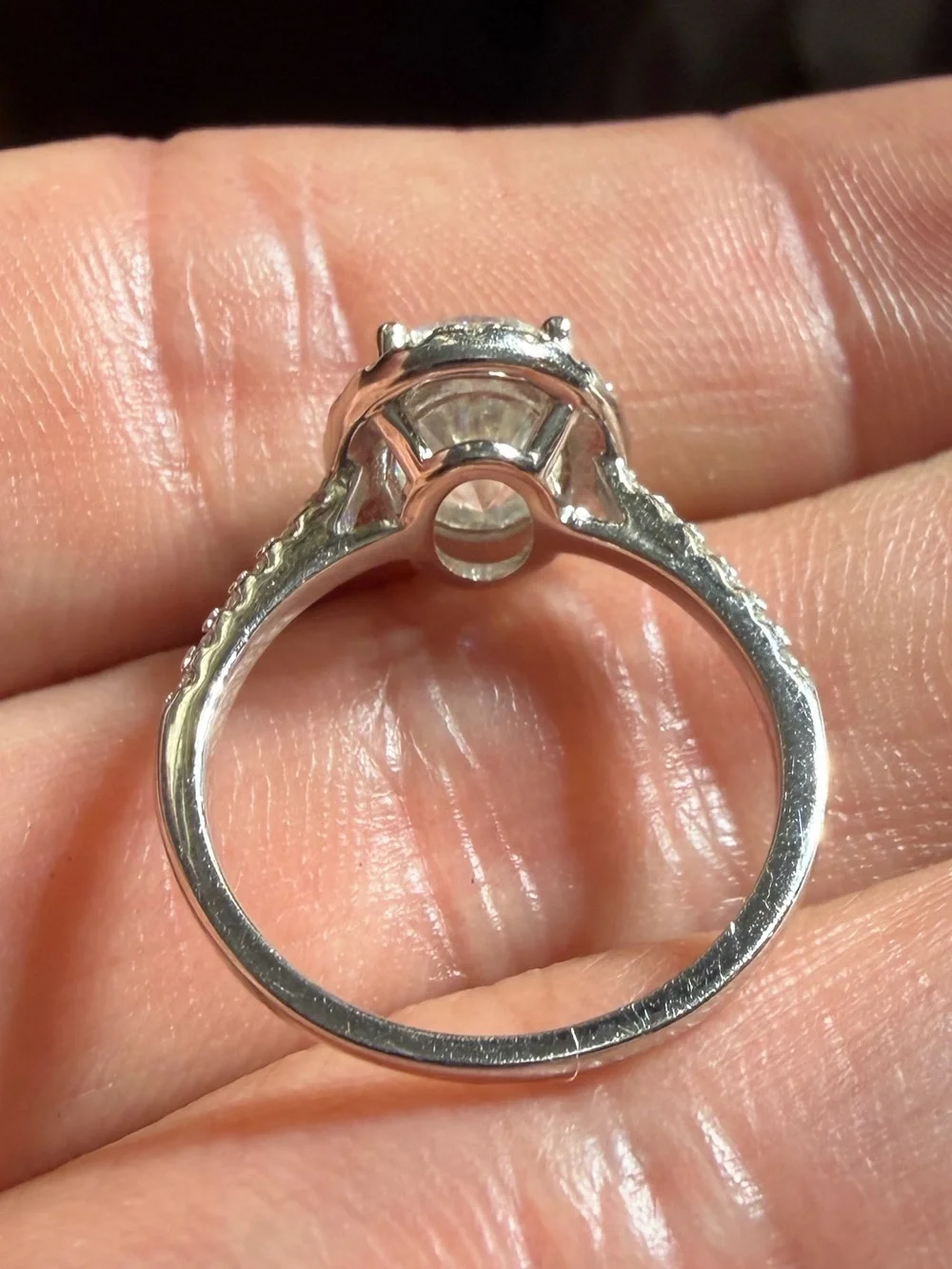 N/A elegant halo
